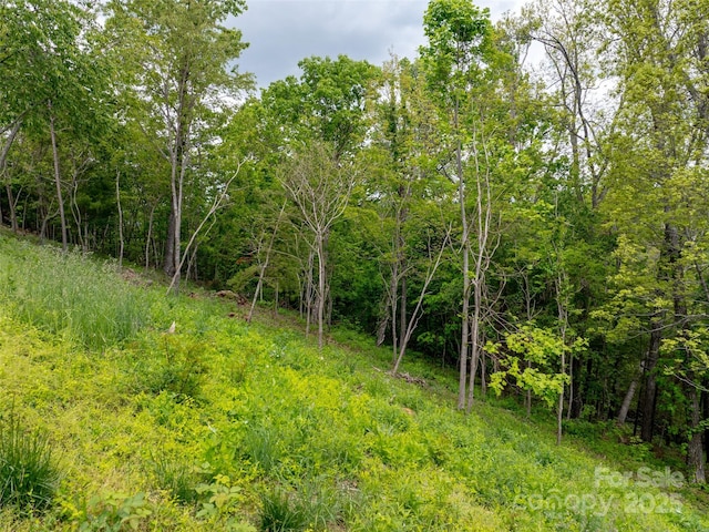 124 Summit Tower Cir, Asheville, NC 28804