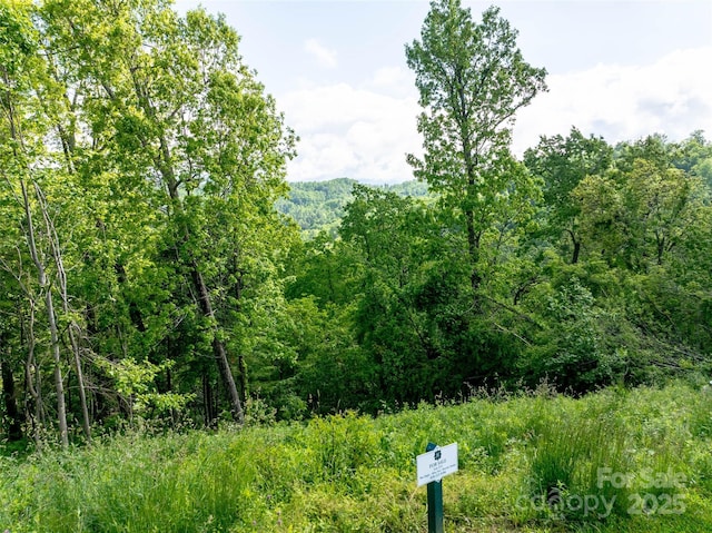 124 Summit Tower Cir, Asheville, NC 28804