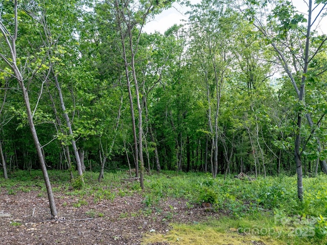 124 Summit Tower Cir, Asheville, NC 28804