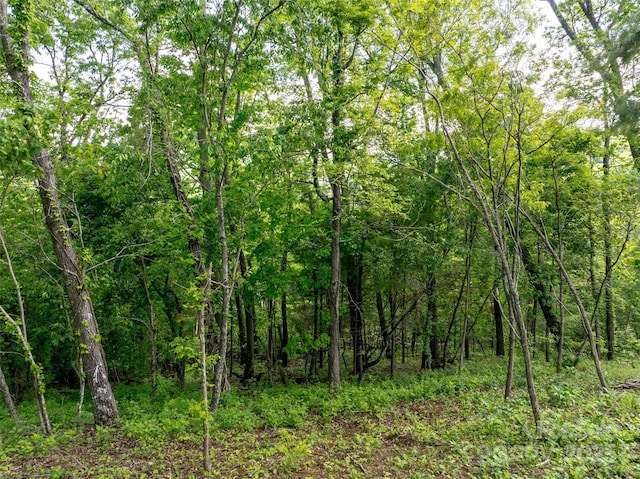 124 Summit Tower Cir, Asheville, NC 28804