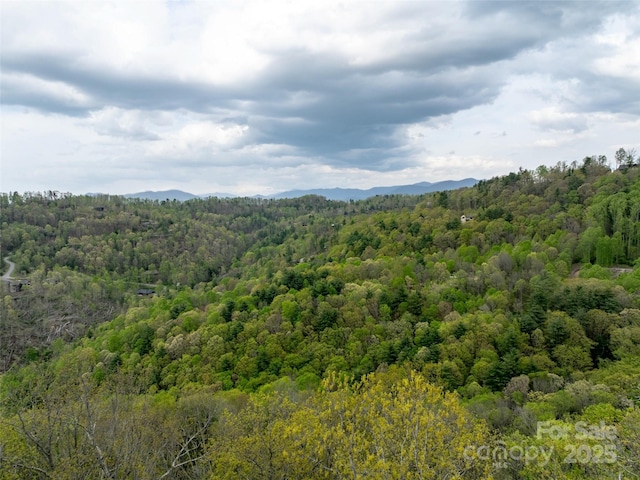 124 Summit Tower Cir, Asheville, NC 28804