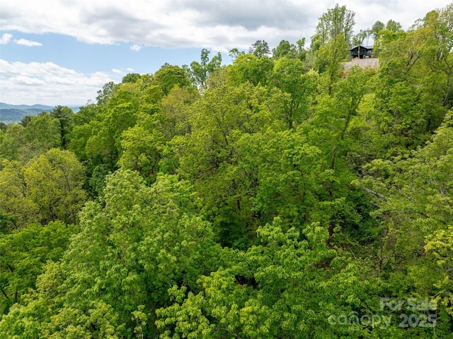 124 Summit Tower Cir, Asheville, NC 28804