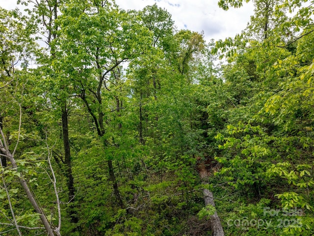 124 Summit Tower Cir, Asheville, NC 28804