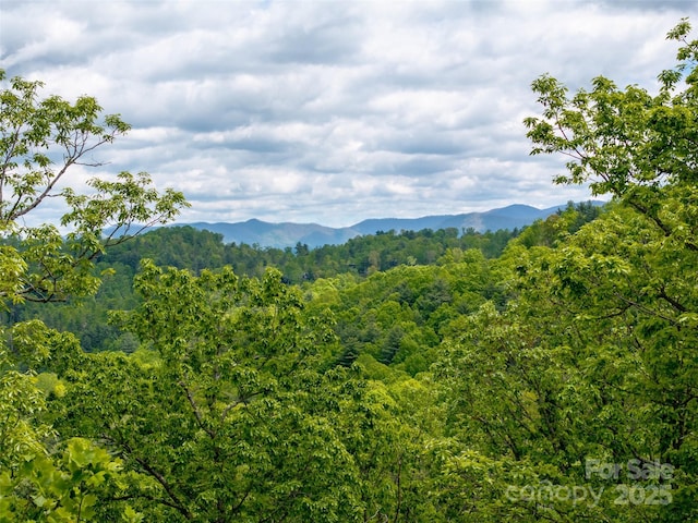 124 Summit Tower Cir, Asheville, NC 28804