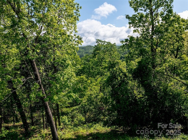 124 Summit Tower Cir, Asheville, NC 28804