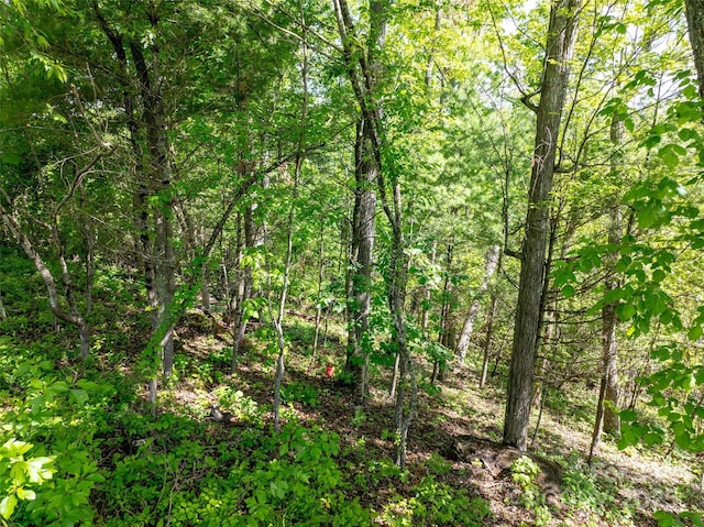 124 Summit Tower Cir, Asheville, NC 28804