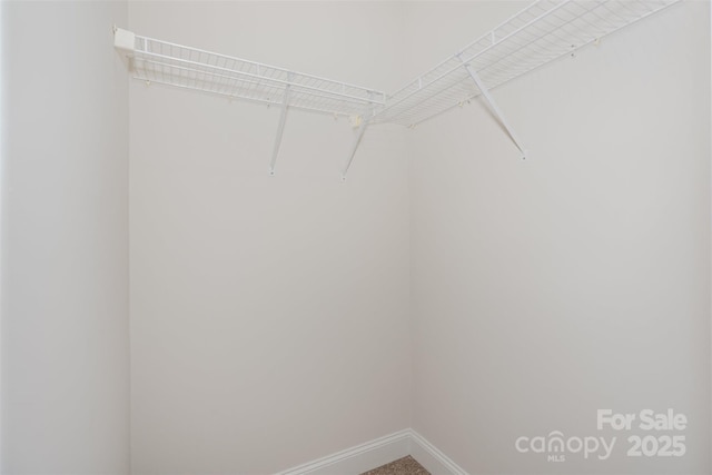 view of walk in closet