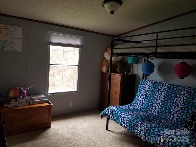 616/620 Pole Miller Ext, Brevard, NC 28712 - carpeted bedroom with a textured ceiling and ornamental molding