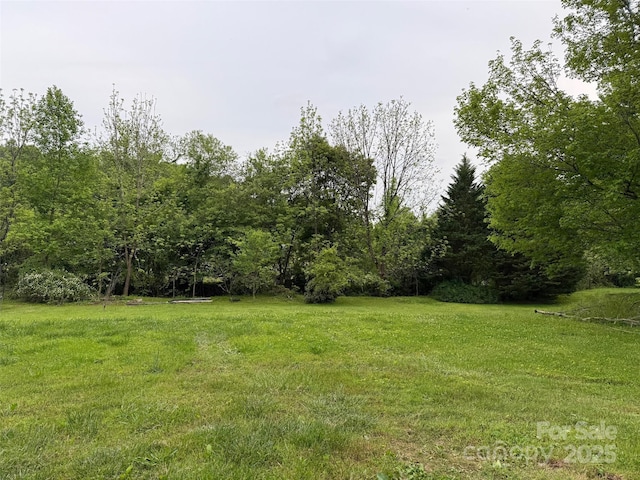 616/620 Pole Miller Ext, Brevard, NC 28712 - view of yard featuring a view of trees