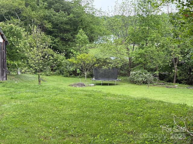 616/620 Pole Miller Ext, Brevard, NC 28712 - view of green lawn with a trampoline and a view of trees