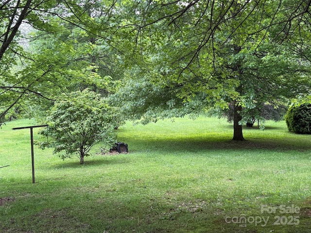 616/620 Pole Miller Ext, Brevard, NC 28712 - view of grassy yard