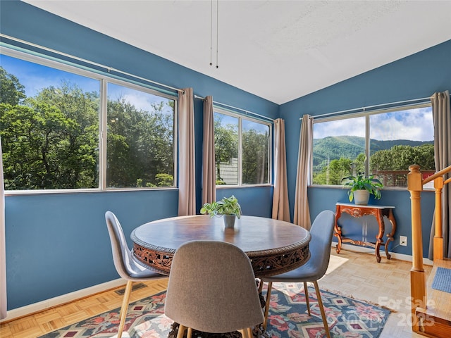 143 Mountain Crest Rd, Swannanoa, NC 28778 - dining room with vaulted ceiling, plenty of natural light, baseboards, and a mountain view