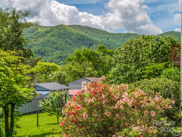 143 Mountain Crest Rd, Swannanoa, NC 28778 - view of mountain backdrop