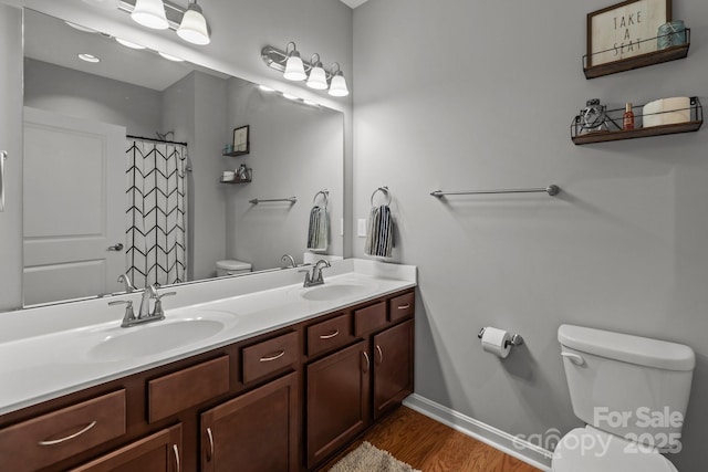 1230 Long Creek Ln, Salisbury, NC 28146 - full bathroom featuring toilet, wood finished floors, double vanity, baseboards, and a shower with shower curtain