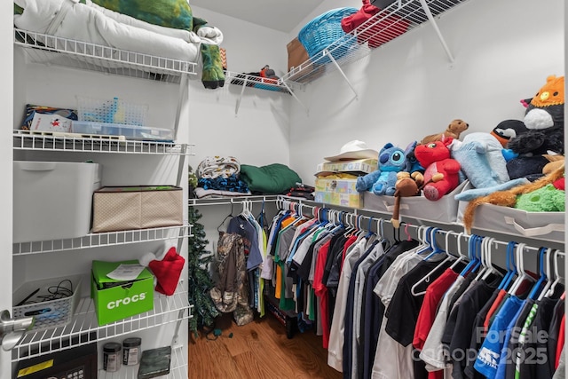 1230 Long Creek Ln, Salisbury, NC 28146 - spacious closet with wood finished floors