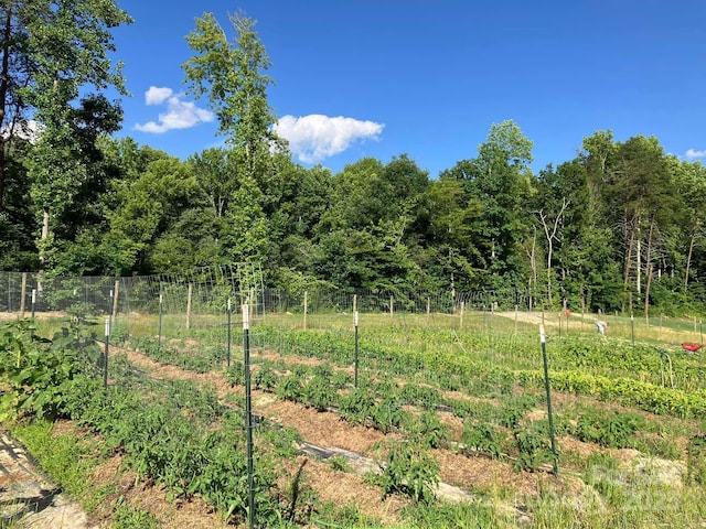 1230 Long Creek Ln, Salisbury, NC 28146 - view of yard featuring a vegetable garden