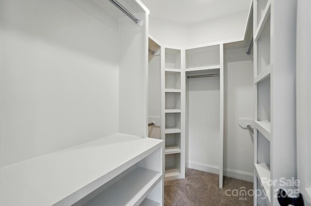 9315 Simpson Rd, Waxhaw, NC 28173 - walk in closet with dark colored carpet
