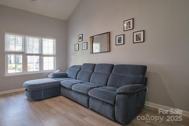 327 Wilkes Place Dr, Fort Mill, SC 29715 - living room with lofted ceiling, wood finished floors, and baseboards