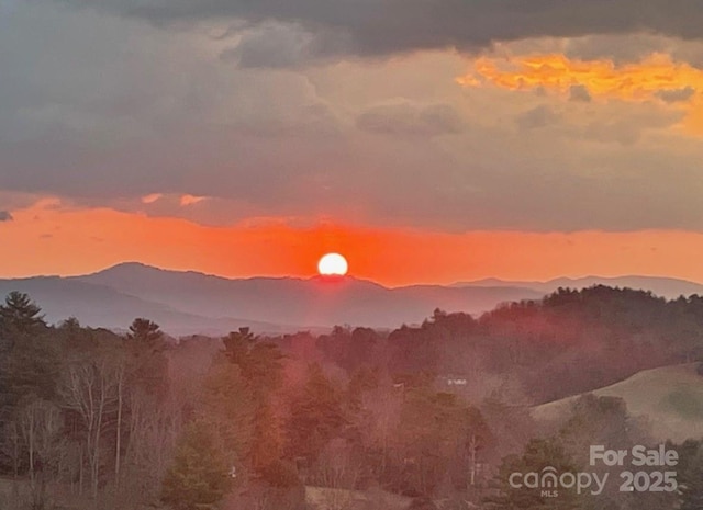 505 Sky Ridge Dr Unit 57, Leicester, NC 28748 - mountain view