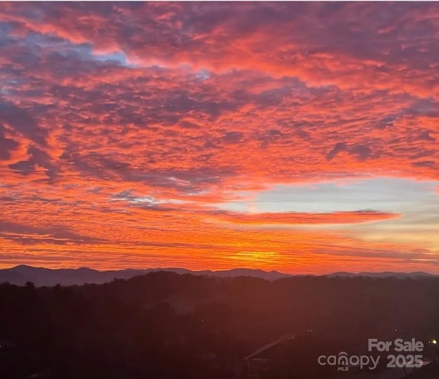 505 Sky Ridge Dr Unit 57, Leicester, NC 28748 - view of mountain background