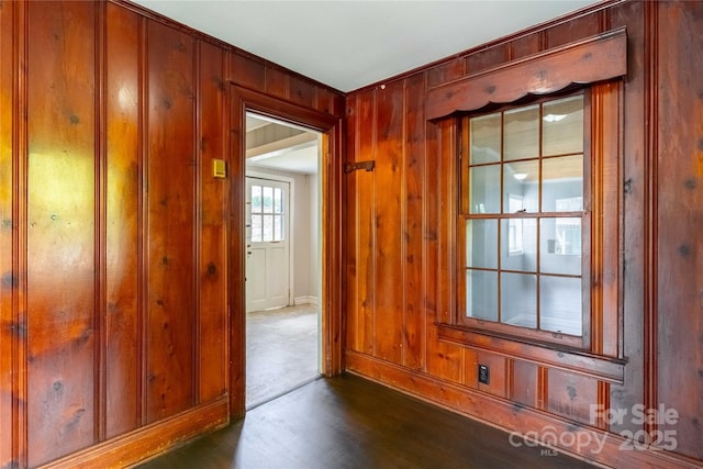 doorway featuring wooden walls, dark wood-style flooring, and baseboards