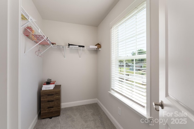 4045 Port Richmond Ave Unit 10, Gastonia, NC 28056 - walk in closet featuring light colored carpet