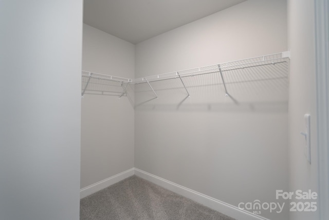4045 Port Richmond Ave Unit 10, Gastonia, NC 28056 - walk in closet featuring carpet floors
