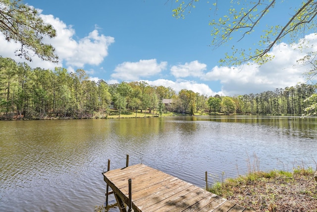 334 Lakeview Cir, Lugoff, SC 29078 - dock area featuring a water view and a wooded view