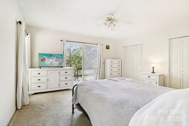 334 Lakeview Cir, Lugoff, SC 29078 - carpeted bedroom with two closets, access to outside, and ceiling fan