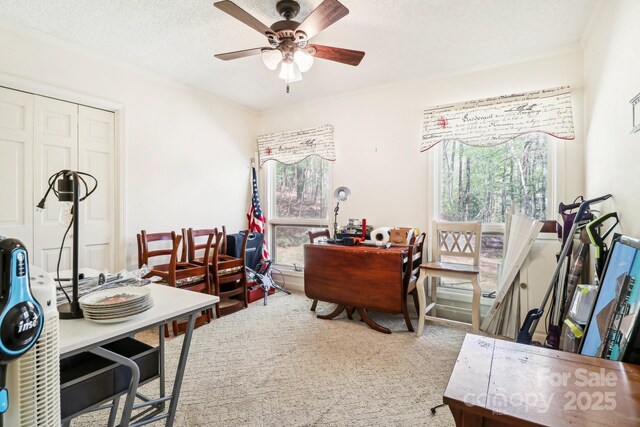 334 Lakeview Cir, Lugoff, SC 29078 - carpeted office with healthy amount of natural light, a ceiling fan, and a textured ceiling