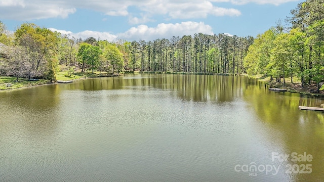 334 Lakeview Cir, Lugoff, SC 29078 - water view with a forest