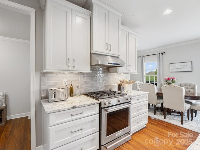 2178 Stone Pile Dr SW, Concord, NC 28025 - kitchen featuring stainless steel range, under cabinet range hood, crown molding, light wood-style floors, and tasteful backsplash