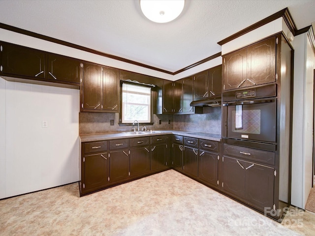 1155 Hasty Rd, Peachland, NC 28133 - kitchen featuring black appliances, a sink, ornamental molding, dark brown cabinetry, and tasteful backsplash