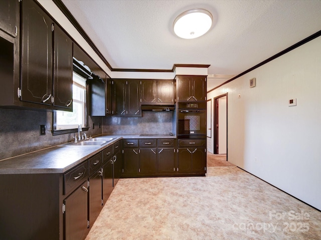 1155 Hasty Rd, Peachland, NC 28133 - kitchen with black appliances, a sink, crown molding, dark brown cabinetry, and decorative backsplash