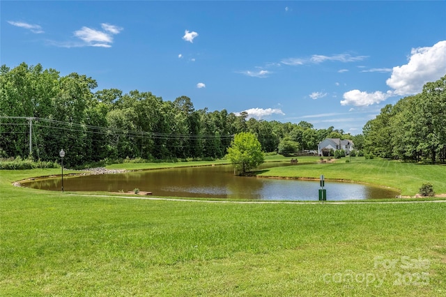 6504 Sybil Ct, Indian Trail, NC 28079 - water view