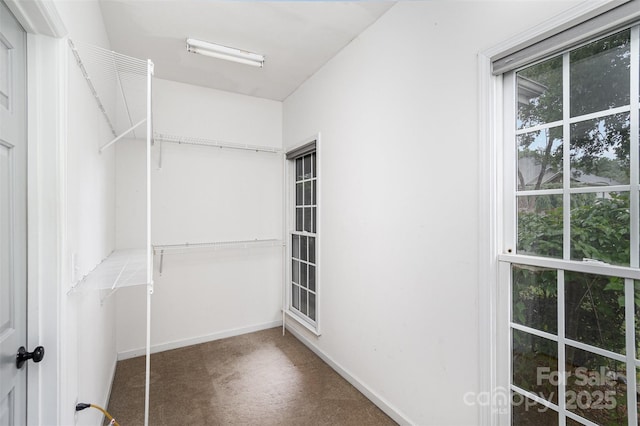 17318 Cambridge Grove Dr, Huntersville, NC 28078 - spacious closet with carpet