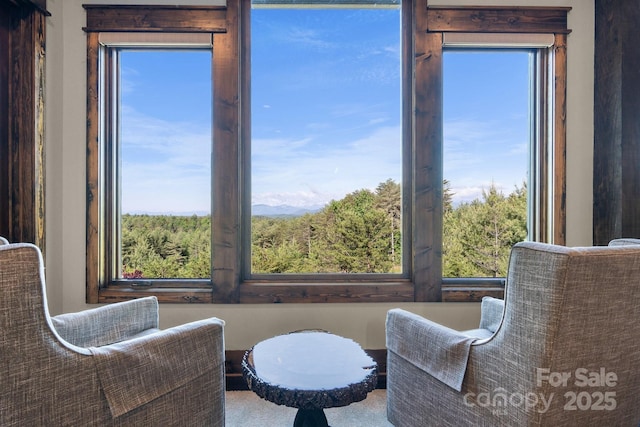 sitting room with healthy amount of natural light