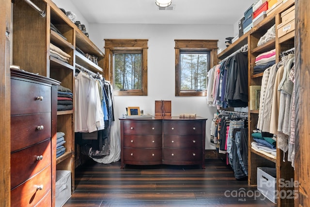 spacious closet featuring dark wood-style flooring