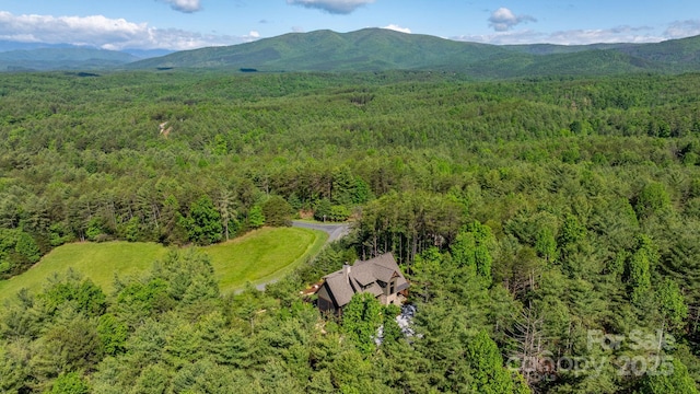 bird's eye view of a forest and a mountain backdrop