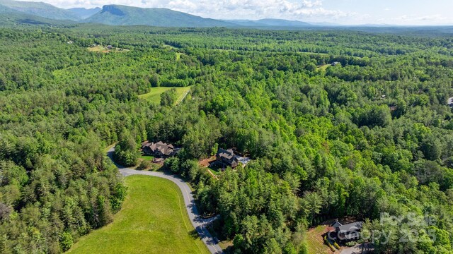 2775 Campbells Trce, Nebo, NC 28761 - drone / aerial view of a forest and a mountain backdrop