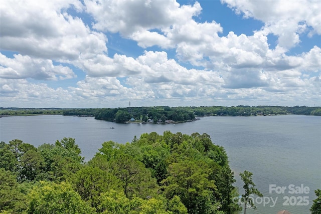 1096 Palmyra Dr, Tega Cay, SC 29708 - water view