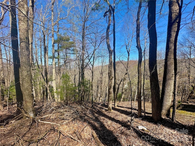 TBD Indian Trail, Boone, NC 28607