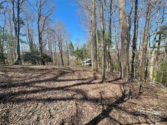 TBD Indian Trail, Boone, NC 28607
