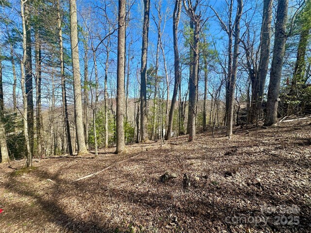 TBD Indian Trail, Boone, NC 28607