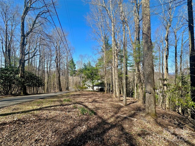 TBD Indian Trail, Boone, NC 28607