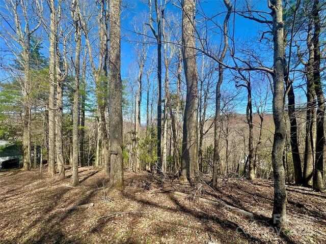 TBD Indian Trail, Boone, NC 28607