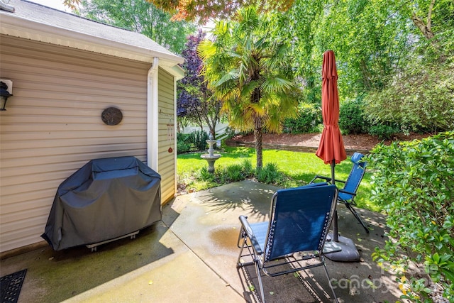19539 Denae Lynn Dr, Cornelius, NC 28031 - view of patio / terrace with grilling area
