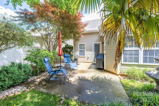 19539 Denae Lynn Dr, Cornelius, NC 28031 - view of patio