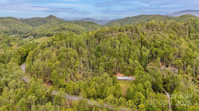 81 Amsoil Dr, Bakersville, NC 28705 - photo 3