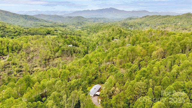81 Amsoil Dr, Bakersville, NC 28705 - photo 33